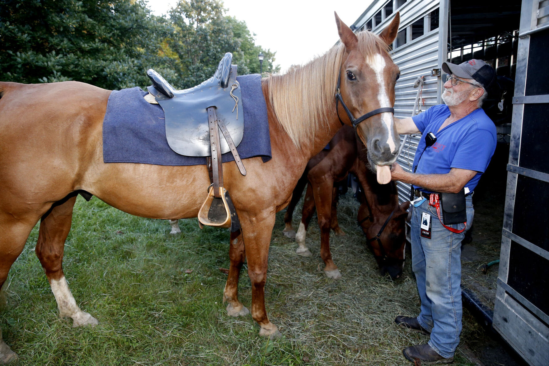 Celebrity Horse dislikes the Paparazzi